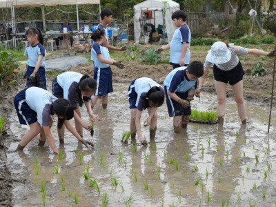 人文科學X伴你同行：踏進梅窩水稻田