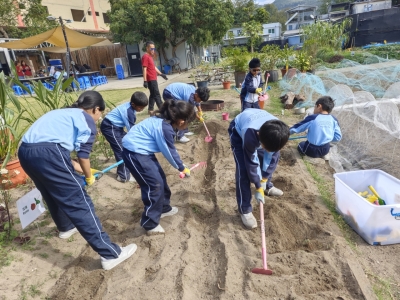 梅窩戶外中華文化探究式學習日營