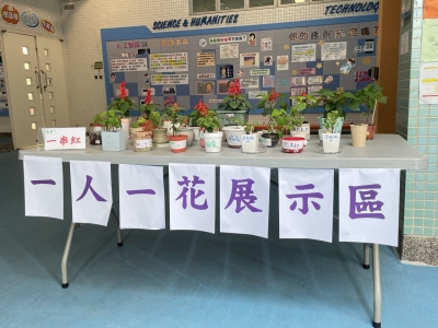 2025-2026年度「一人一花計劃」（一串紅）優秀盆栽收集及展示活動